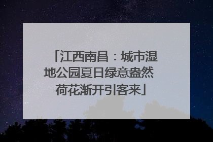 江西南昌：城市湿地公园夏日绿意盎然 荷花渐开引客来