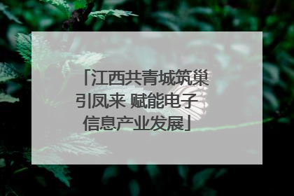 江西共青城筑巢引凤来 赋能电子信息产业发展