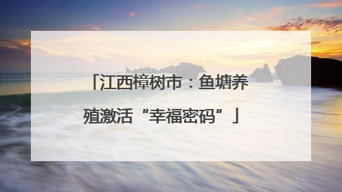 江西樟树市：鱼塘养殖激活“幸福密码”
