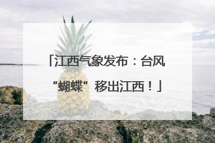江西气象发布：台风“蝴蝶”移出江西！