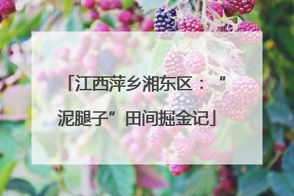 江西萍乡湘东区：“泥腿子”田间掘金记