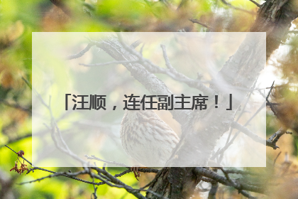 汪顺，连任副主席！