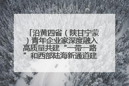 沿黄四省（陕甘宁蒙）青年企业家深度融入高质量共建“一带一路”和西部陆海新通道建设战略合作交流会在甘肃兰州召开