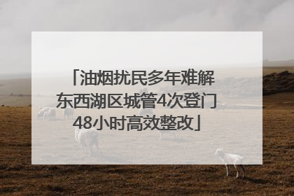 油烟扰民多年难解 东西湖区城管4次登门48小时高效整改