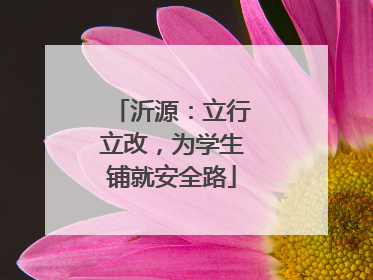 沂源：立行立改，为学生铺就安全路