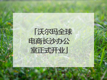 沃尔玛全球电商长沙办公室正式开业