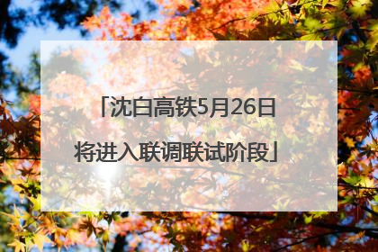 沈白高铁5月26日将进入联调联试阶段