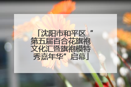 沈阳市和平区“第五届百合花旗袍文化汇暨旗袍模特秀嘉年华”启幕