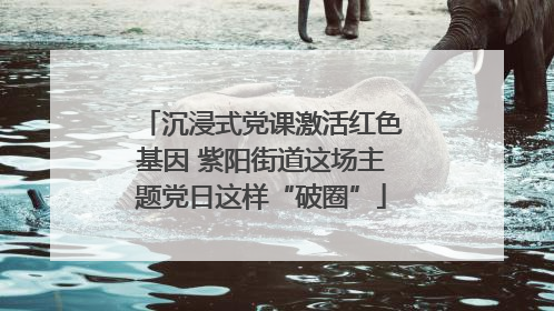沉浸式党课激活红色基因 紫阳街道这场主题党日这样“破圈”