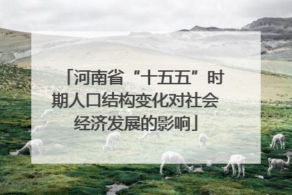 河南省“十五五”时期人口结构变化对社会经济发展的影响