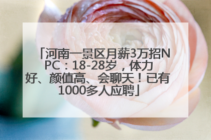 河南一景区月薪3万招NPC：18-28岁，体力好、颜值高、会聊天！已有1000多人应聘