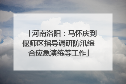河南洛阳：马怀庆到偃师区指导调研防汛综合应急演练等工作