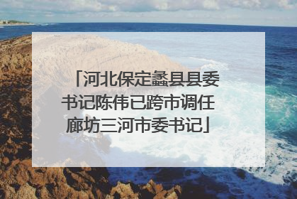 河北保定蠡县县委书记陈伟已跨市调任廊坊三河市委书记