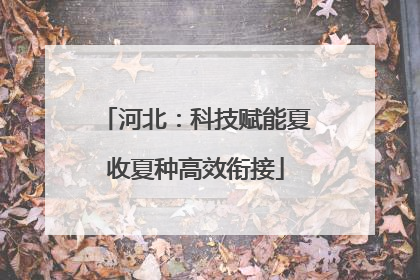 河北：科技赋能夏收夏种高效衔接