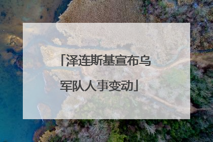 泽连斯基宣布乌军队人事变动
