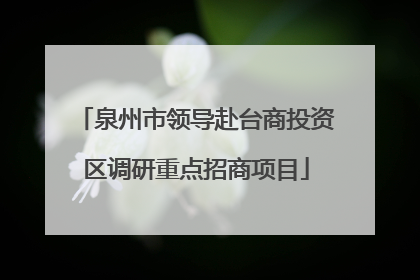 泉州市领导赴台商投资区调研重点招商项目
