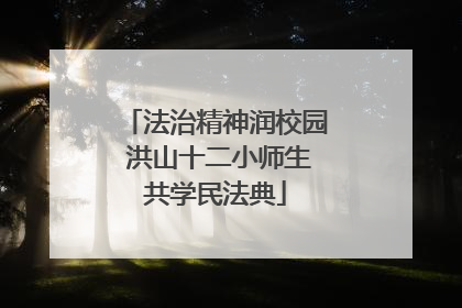 法治精神润校园 洪山十二小师生共学民法典