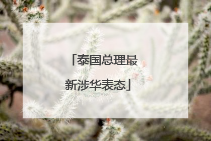 泰国总理最新涉华表态
