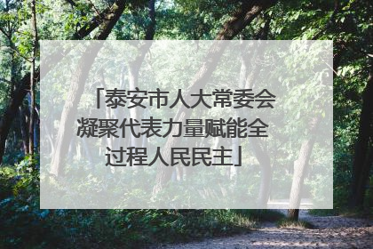 泰安市人大常委会凝聚代表力量赋能全过程人民民主