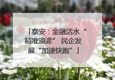 泰安：金融活水“精准滴灌” 民企发展“加速快跑”