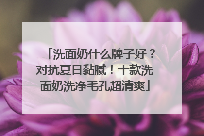洗面奶什么牌子好？对抗夏日黏腻！十款洗面奶洗净毛孔超清爽