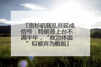 洛杉矶骚乱蔓延成信号：特朗普上台不满半年，“政治体面”似被弃为敝履