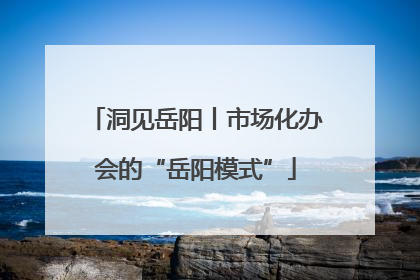 洞见岳阳丨市场化办会的“岳阳模式”