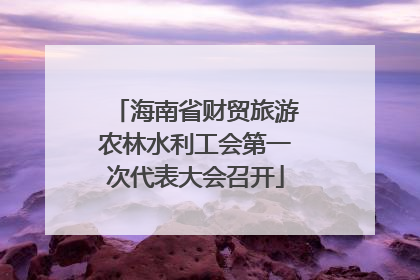 海南省财贸旅游农林水利工会第一次代表大会召开