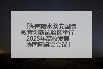 海南陵水黎安国际教育创新试验区举行2025年高校发展协同圆桌会会议