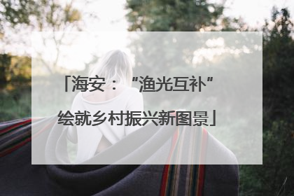 海安：“渔光互补” 绘就乡村振兴新图景