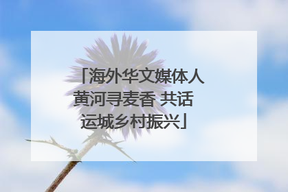 海外华文媒体人黄河寻麦香 共话运城乡村振兴