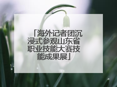 海外记者团沉浸式参观山东省职业技能大赛技能成果展
