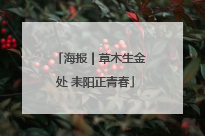 海报｜草木生金处 耒阳正青春
