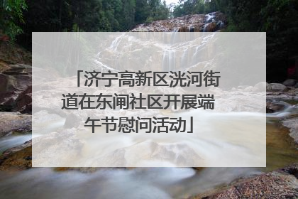 济宁高新区洸河街道在东闸社区开展端午节慰问活动
