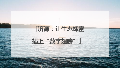 济源：让生态蜂蜜插上“数字翅膀”