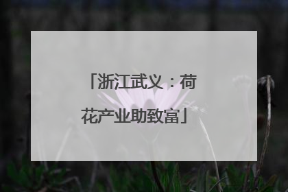 浙江武义：荷花产业助致富