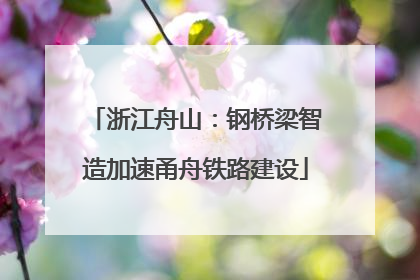浙江舟山：钢桥梁智造加速甬舟铁路建设