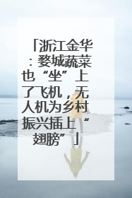 浙江金华：婺城蔬菜也“坐”上了飞机，无人机为乡村振兴插上“翅膀”