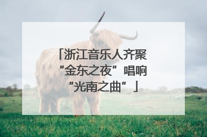 浙江音乐人齐聚“金东之夜”唱响“光南之曲”