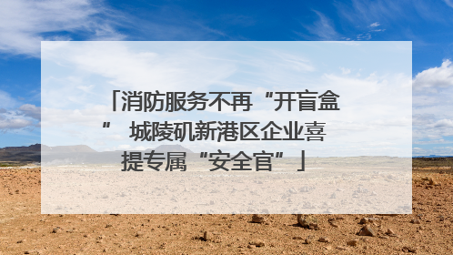消防服务不再“开盲盒” 城陵矶新港区企业喜提专属“安全官”