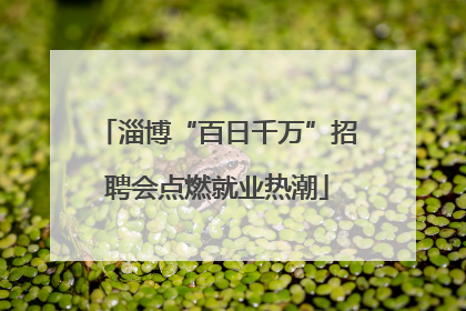 淄博“百日千万”招聘会点燃就业热潮