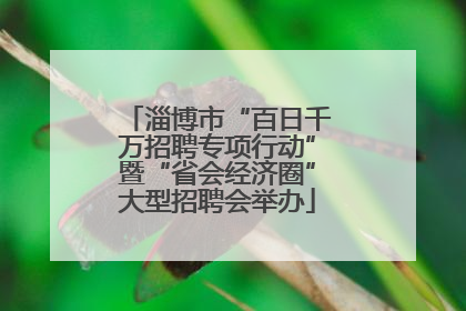淄博市“百日千万招聘专项行动”暨“省会经济圈”大型招聘会举办