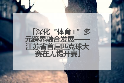 深化“体育+”多元跨界融合发展——江苏省首届匹克球大赛在无锡开赛