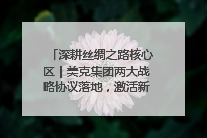 深耕丝绸之路核心区｜美克集团两大战略协议落地，激活新疆开放新动能