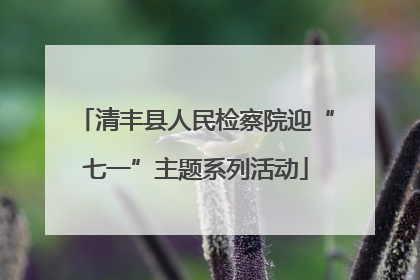 清丰县人民检察院迎“七一”主题系列活动
