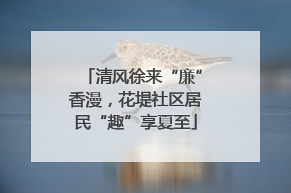 清风徐来“廉”香漫，花堤社区居民“趣”享夏至