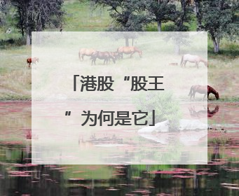 港股“股王”为何是它