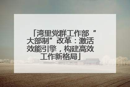 湾里党群工作部“大部制”改革：激活效能引擎，构建高效工作新格局