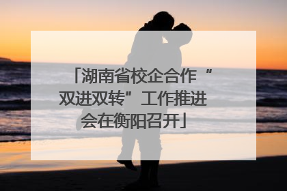 湖南省校企合作“双进双转”工作推进会在衡阳召开