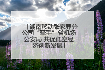 湖南移动张家界分公司“牵手”省机场公安局 共促低空经济创新发展
